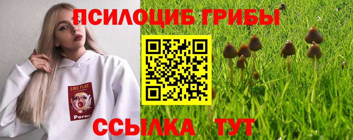 Зеленодольск  наркошоп  Вход с VPN  Галлюциногенные грибы Cubensis  Галлюциногенные грибы прущие грибы 