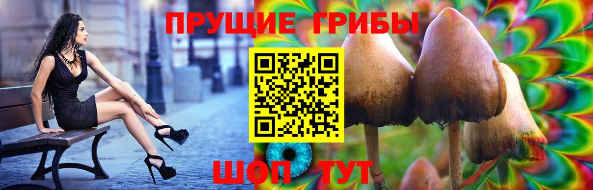 Псилоцибиновые грибы Cubensis Зеленодольск